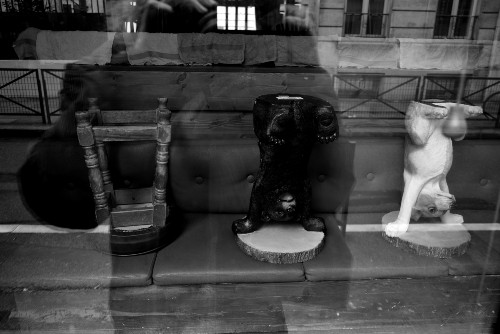  Paris,shop window,upside down dogs, photography ,Black & White on paper, limited edition,  